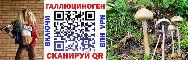 купить наркотики цена Владивосток KRAKEN tor Галлюциногенные грибы прущие грибы