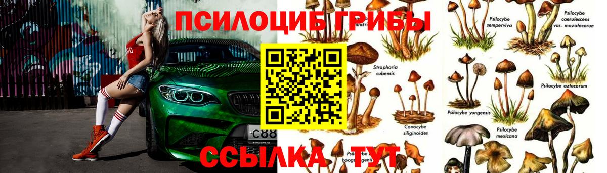 Псилоцибиновые грибы MAGIC MUSHROOMS  Псилоцибиновые грибы Cubensis  Вход с VPN  Владивосток 