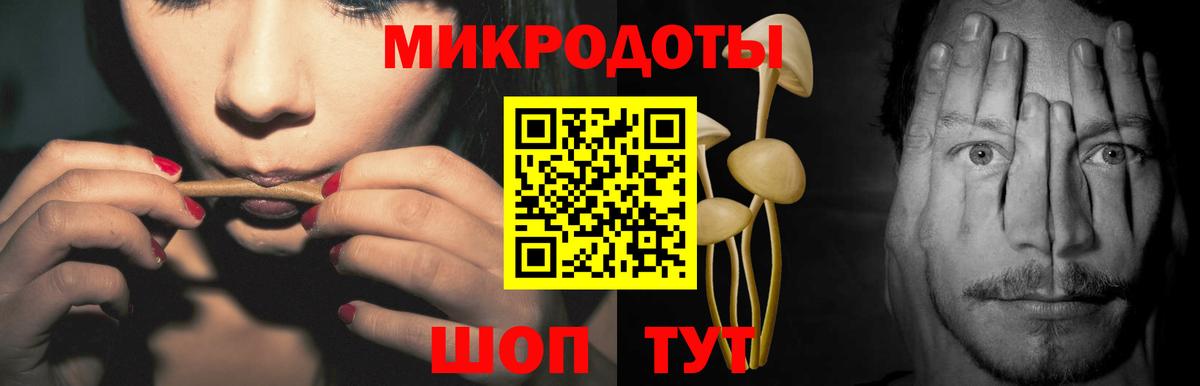 Галлюциногенные грибы Psilocybe Владивосток
