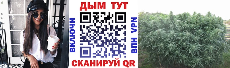 Шишки марихуана MAZAR  где найти   Владивосток 